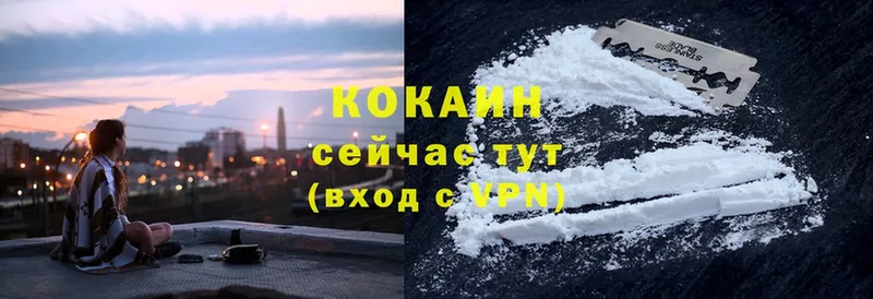 как найти   Солигалич  COCAIN Колумбийский 